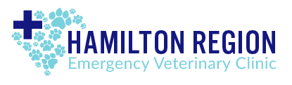 Veterinarians in Hamilton, ON | Hamilton Region Emergency Vet Clinic